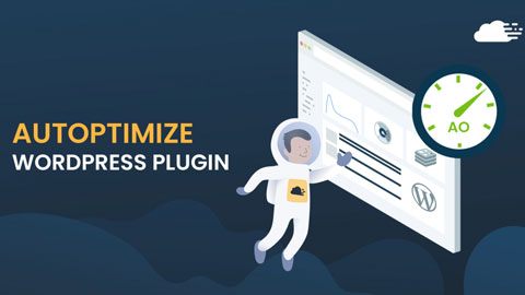 Tăng tốc độ tải bằng cách tối ưu WordPress plugin - 20