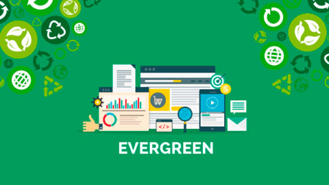 Bạn đã thử Evergreen content để tối ưu nội dung website chưa? - 17