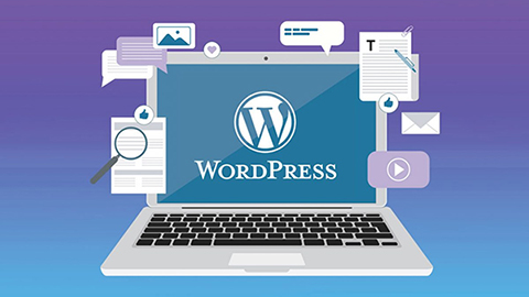 Top 8 plugin WordPress giúp tối ưu website với siêu dữ liệu - 4