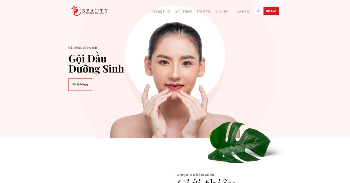 Website thẩm mỹ viện - spa làm đẹp