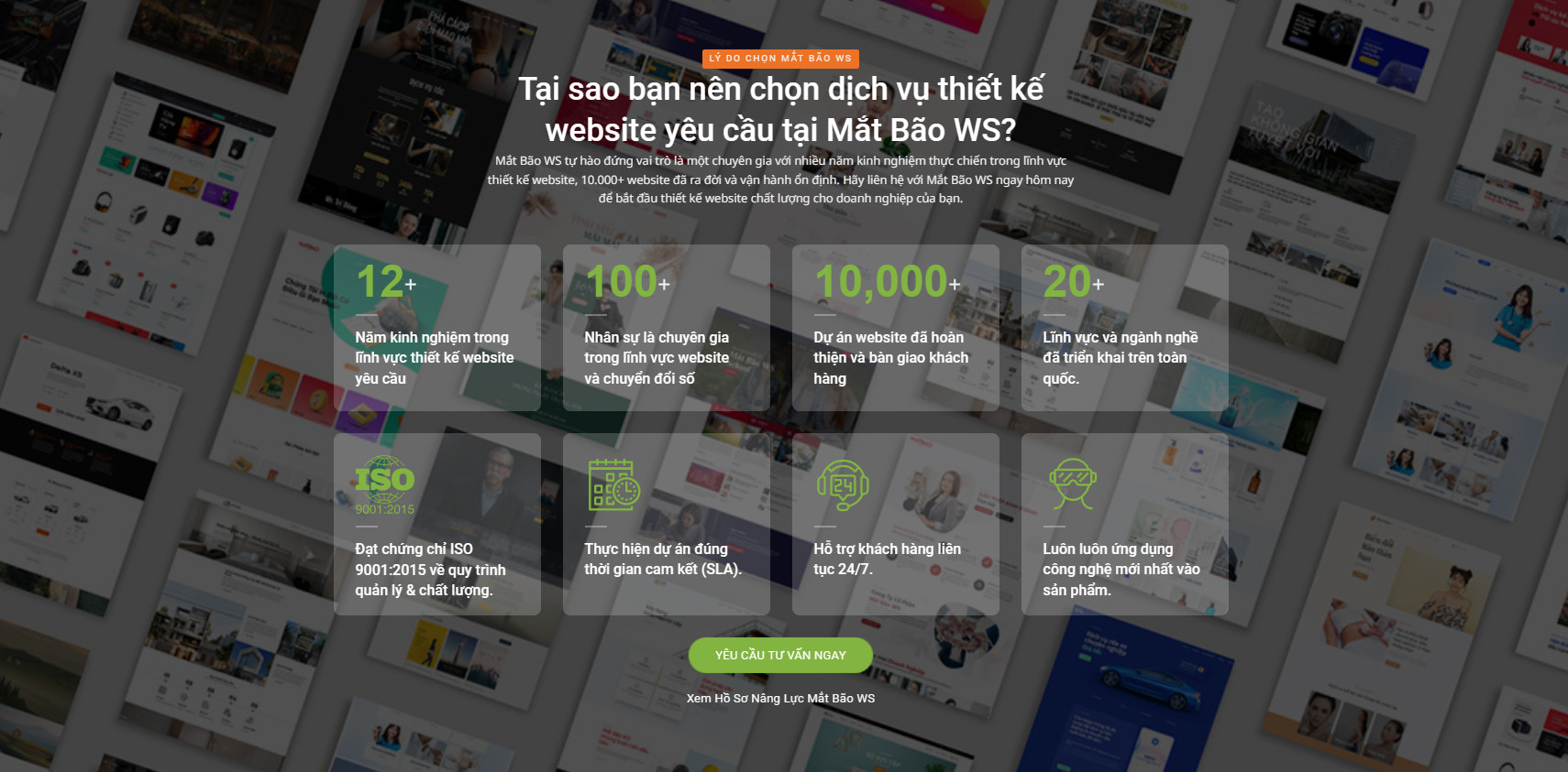 Tại sao nên chọn dịch vụ thiết kế website của Mắt Bão WS