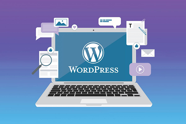 Top 8 plugin WordPress giúp tối ưu website với siêu dữ liệu - 7