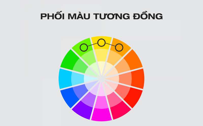 Phối màu tương đồng sử dụng 3 gam màu liền kề trong vòng tròn màu 